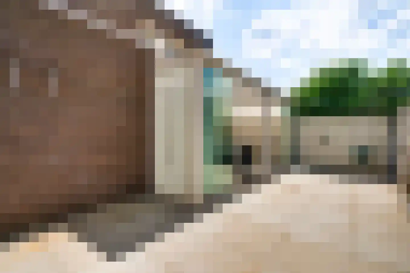 Charles de Gaullestraat 6 Herten thumbnail 25