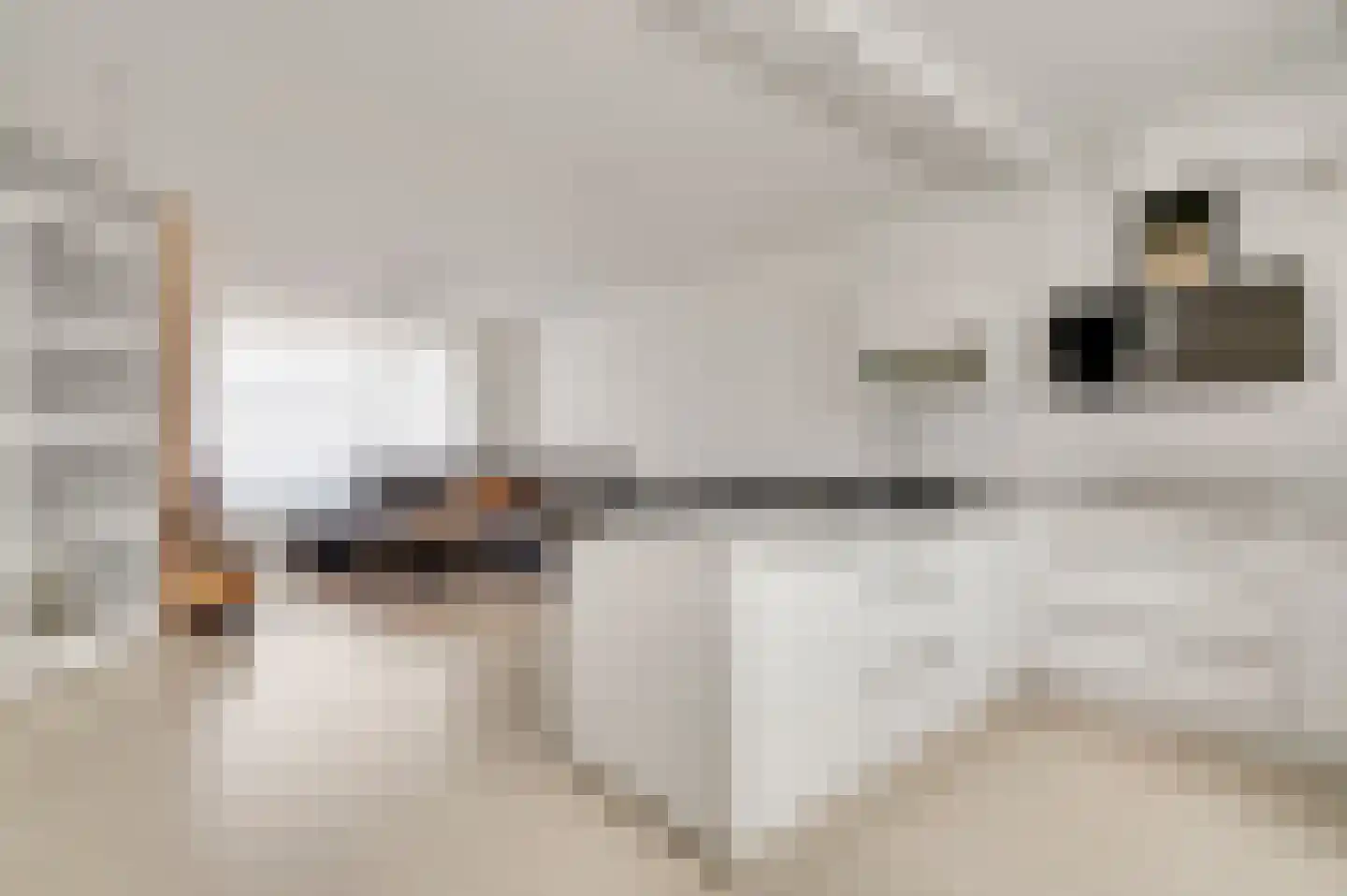 Charles de Gaullestraat 6 Herten thumbnail 4