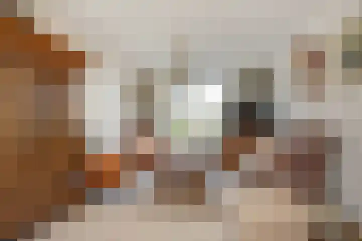 Charles de Geloesstraat 1 Elsloo thumbnail 12