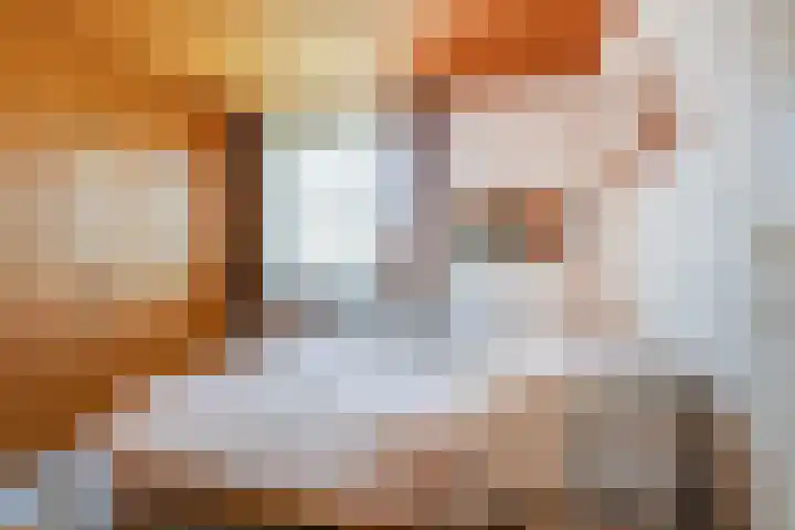 Charles de Geloesstraat 1 Elsloo thumbnail 16
