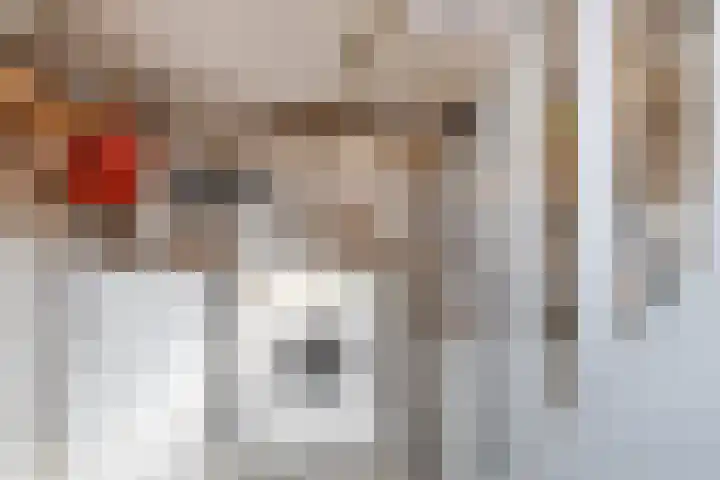 Charles de Geloesstraat 1 Elsloo thumbnail 21
