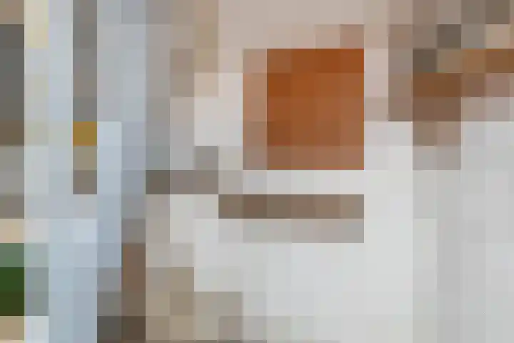 Charles de Geloesstraat 1 Elsloo thumbnail 22