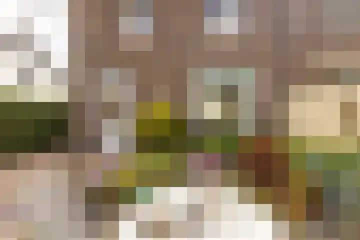Charles de Geloesstraat 1 Elsloo thumbnail 26