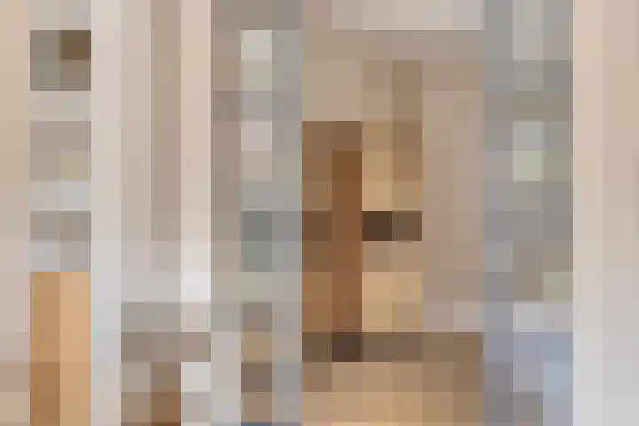 Charles Dickenslaan 16 Eindhoven thumbnail 11