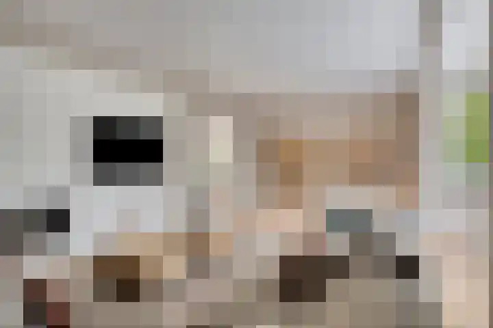 Charles Dickenslaan 16 Eindhoven thumbnail 13