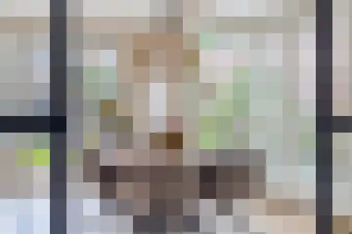Charles Dickenslaan 16 Eindhoven thumbnail 18