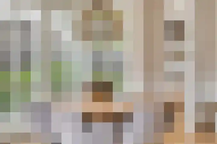 Charles Dickenslaan 16 Eindhoven thumbnail 21