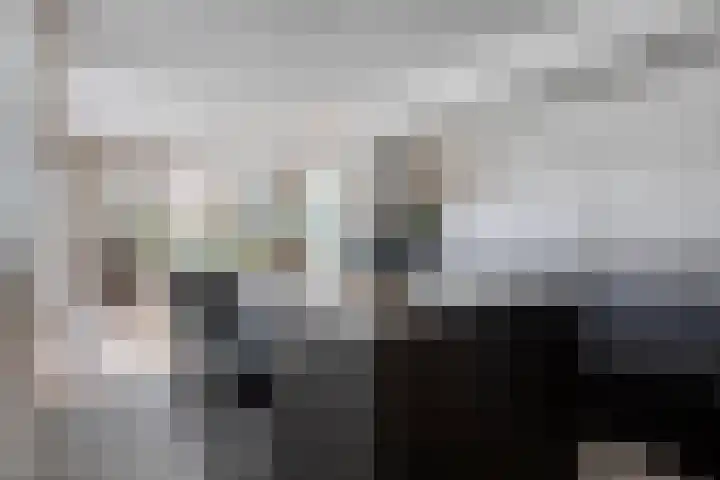 Charles Dickenslaan 16 Eindhoven thumbnail 23