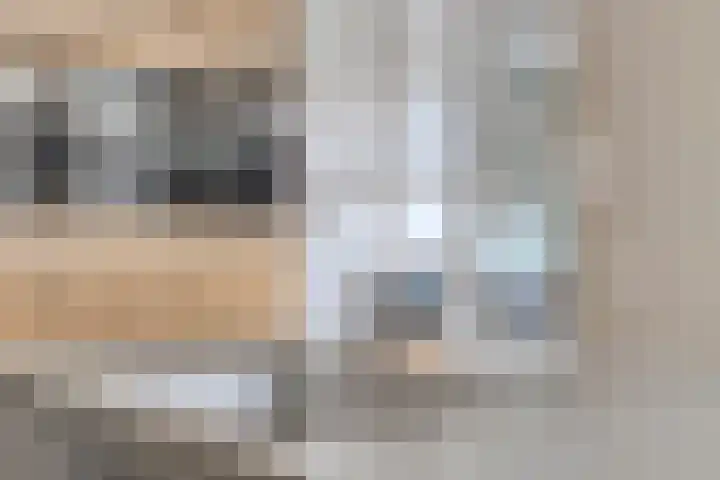 Charles Dickenslaan 16 Eindhoven thumbnail 26