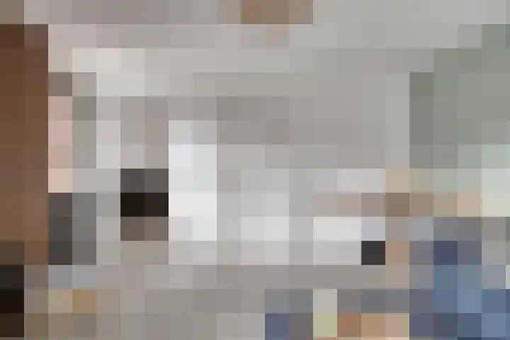 Charles Dickenslaan 16 Eindhoven thumbnail 28