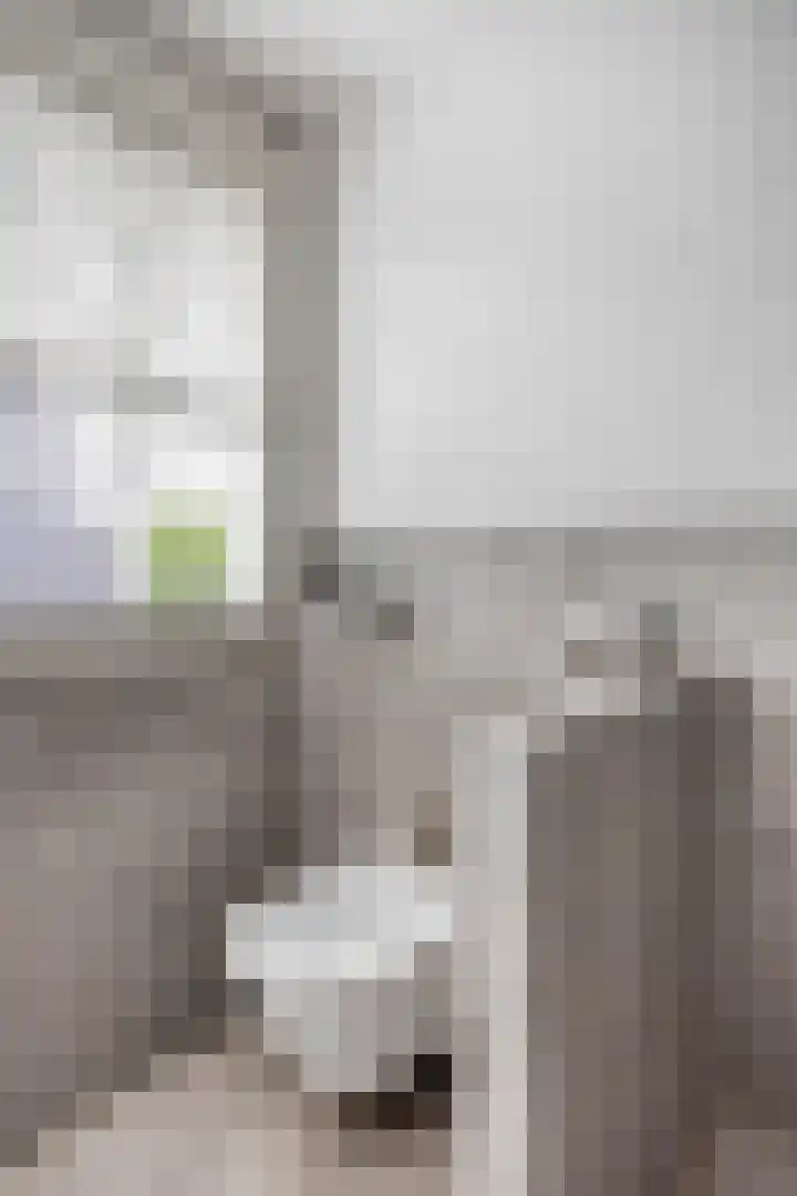 Charles Dickenslaan 16 Eindhoven thumbnail 38