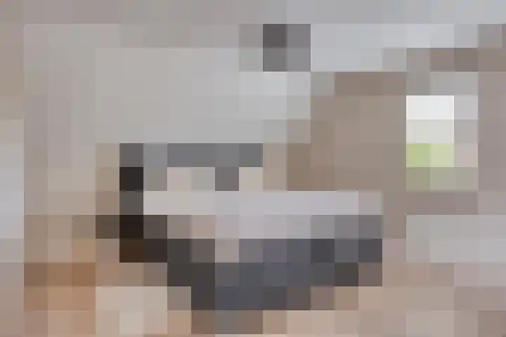 Charles Dickenslaan 16 Eindhoven thumbnail 40