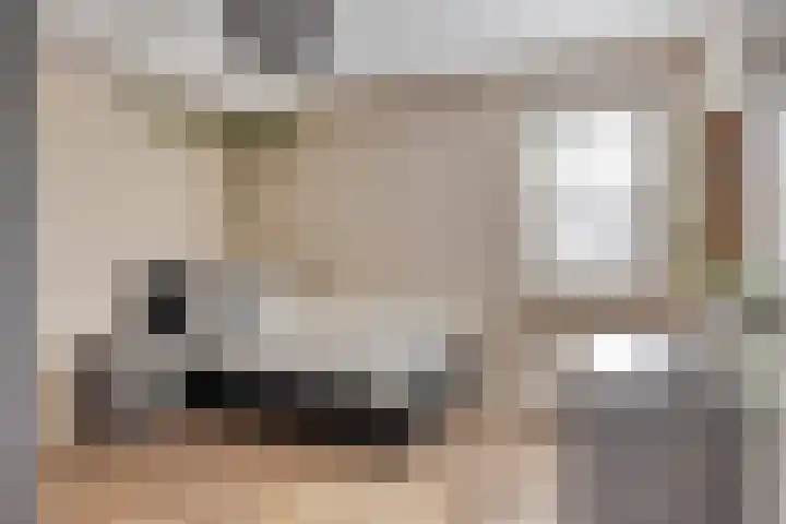 Charles Dickenslaan 16 Eindhoven thumbnail 44