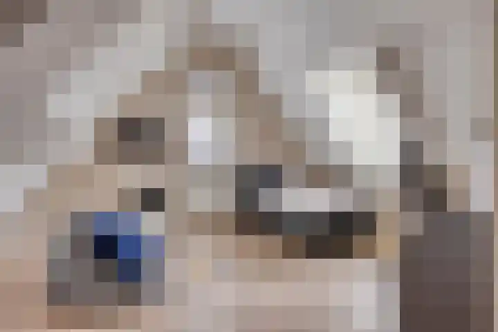 Charles Dickenslaan 16 Eindhoven thumbnail 47