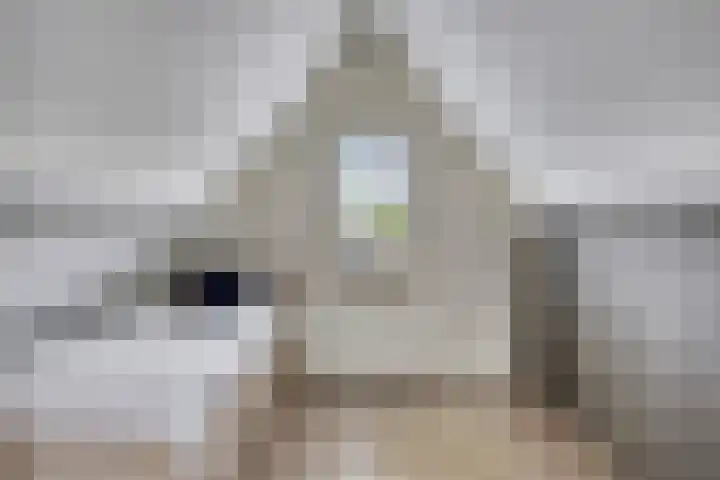 Charles Dickenslaan 16 Eindhoven thumbnail 51
