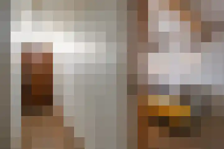 Charles Eijckstraat 66 Meerssen thumbnail 5