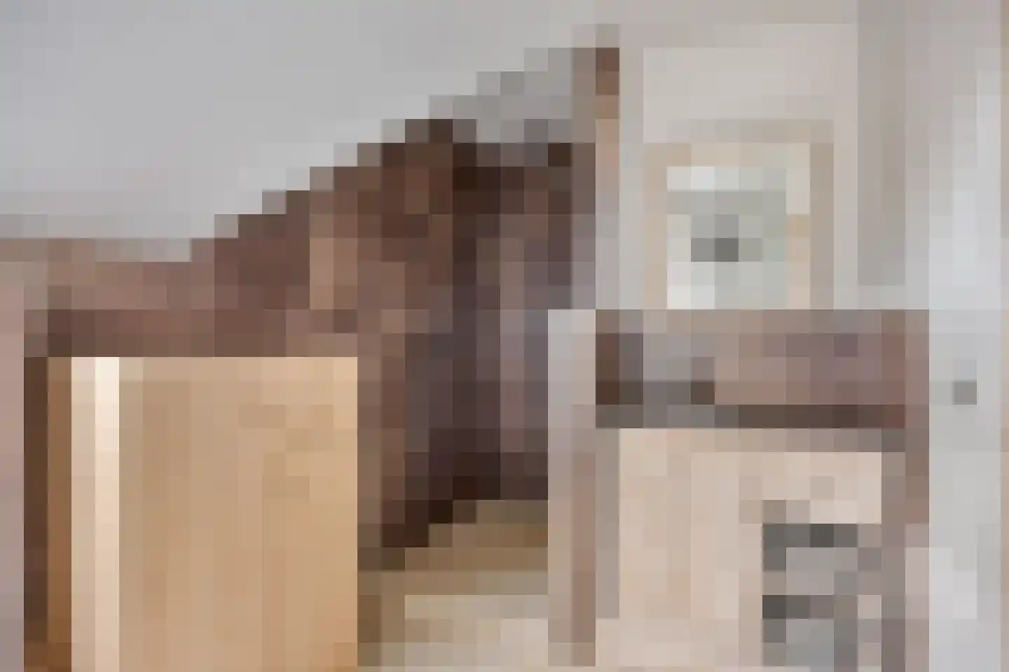 Charles Eyckdreef 6 Schimmert thumbnail 15