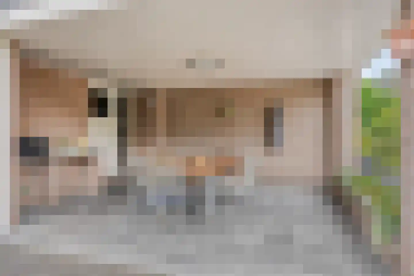 Charles Eyckdreef 6 Schimmert thumbnail 20