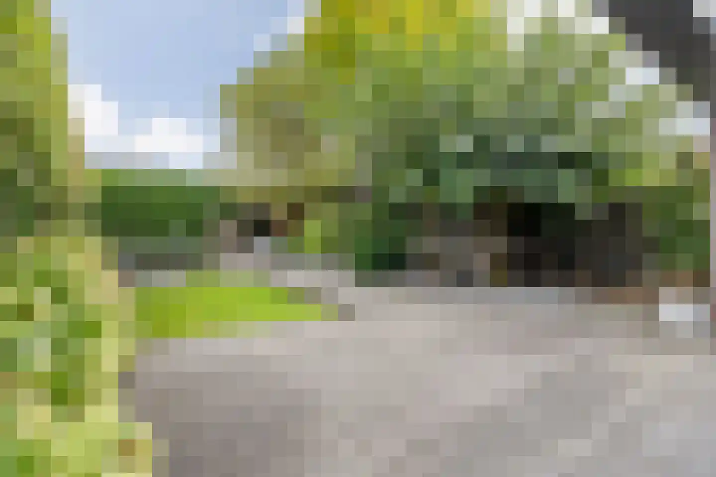 Charles Petitweg 13 Breda thumbnail 100