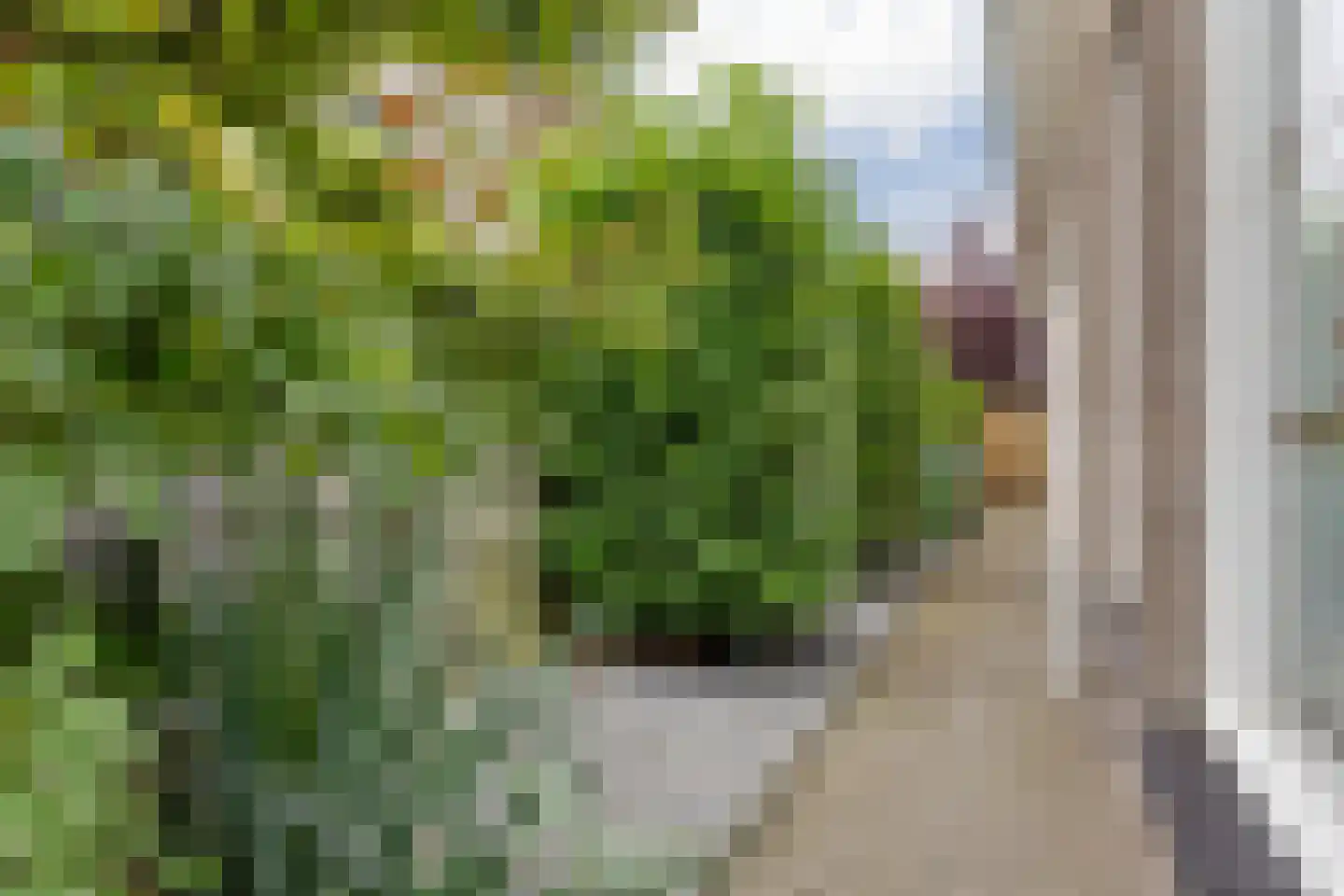 Charles Petitweg 13 Breda thumbnail 103