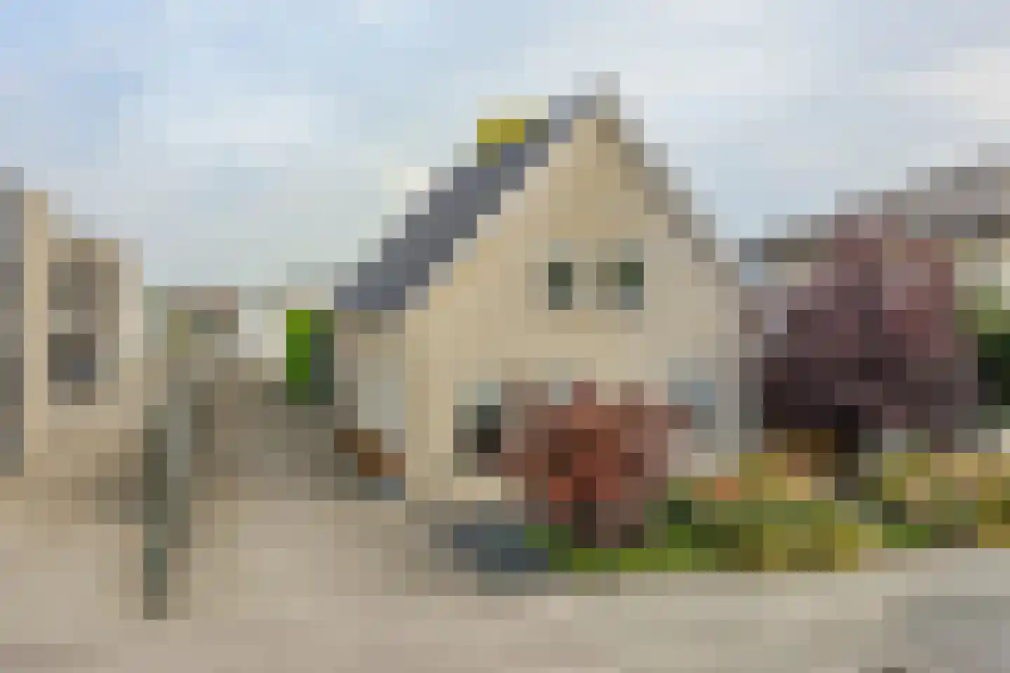 Charles Petitweg 13 Breda thumbnail 13