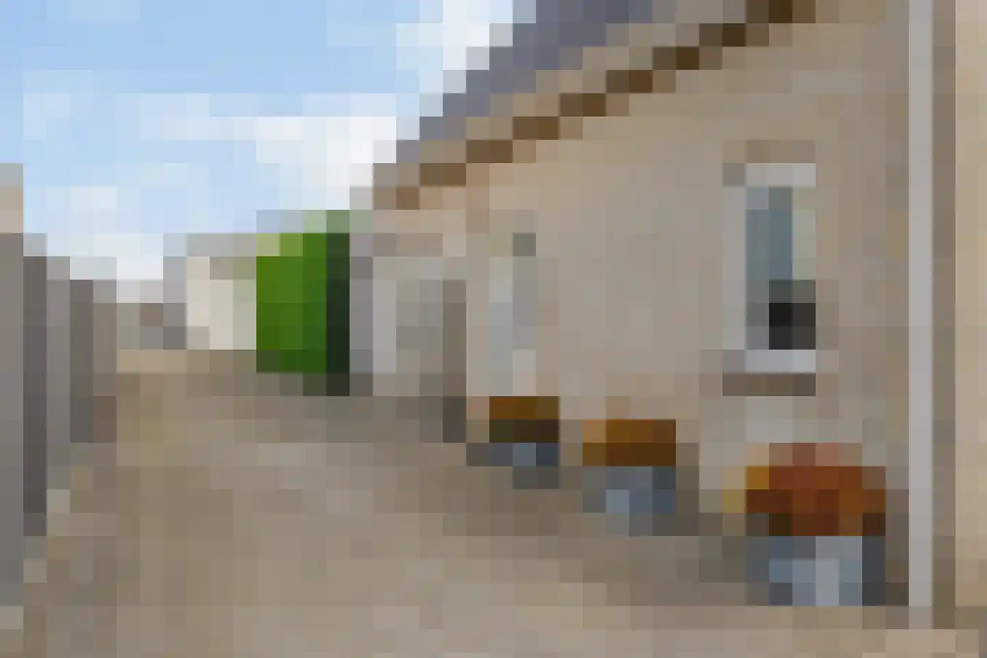 Charles Petitweg 13 Breda thumbnail 18