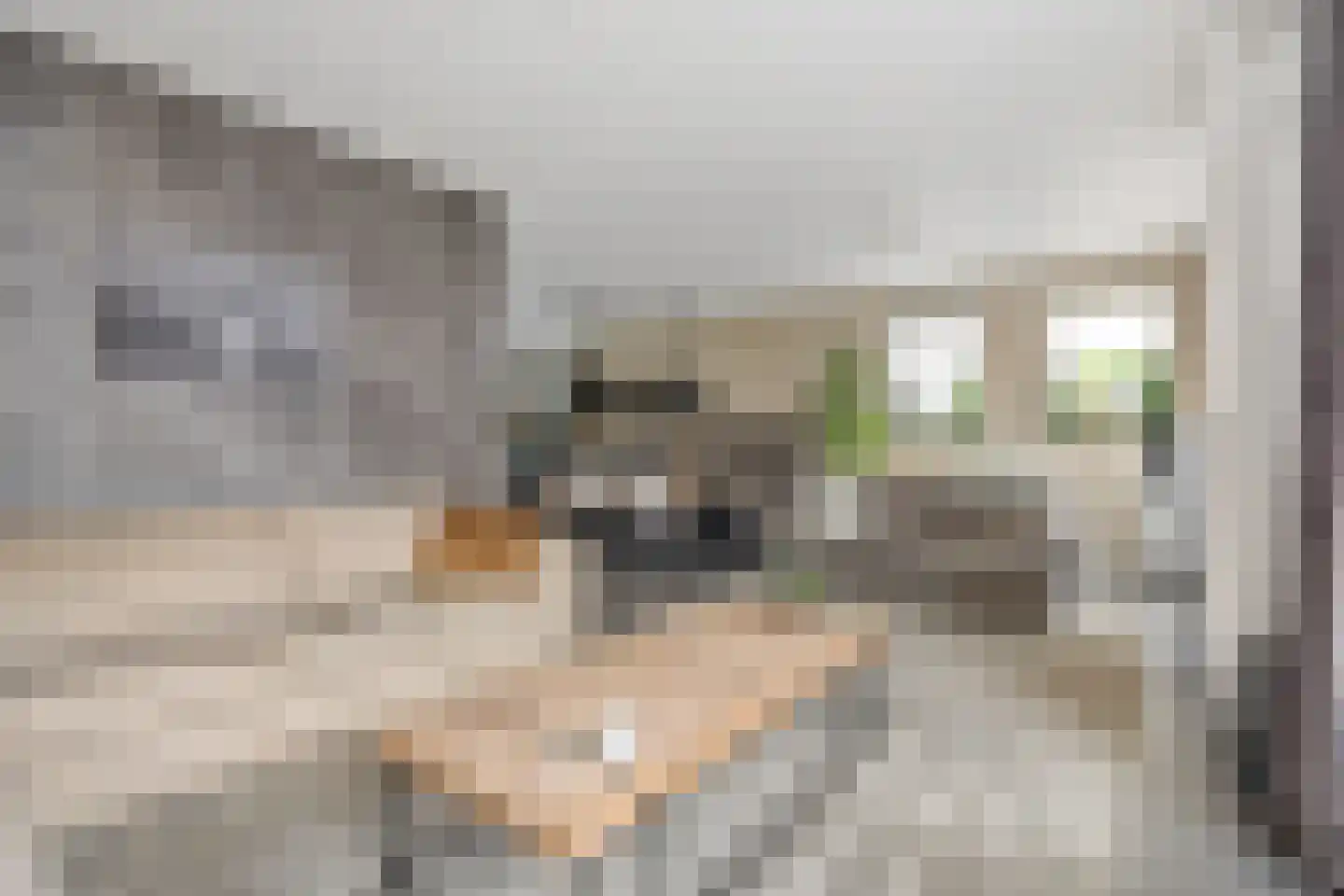 Charles Petitweg 13 Breda thumbnail 34