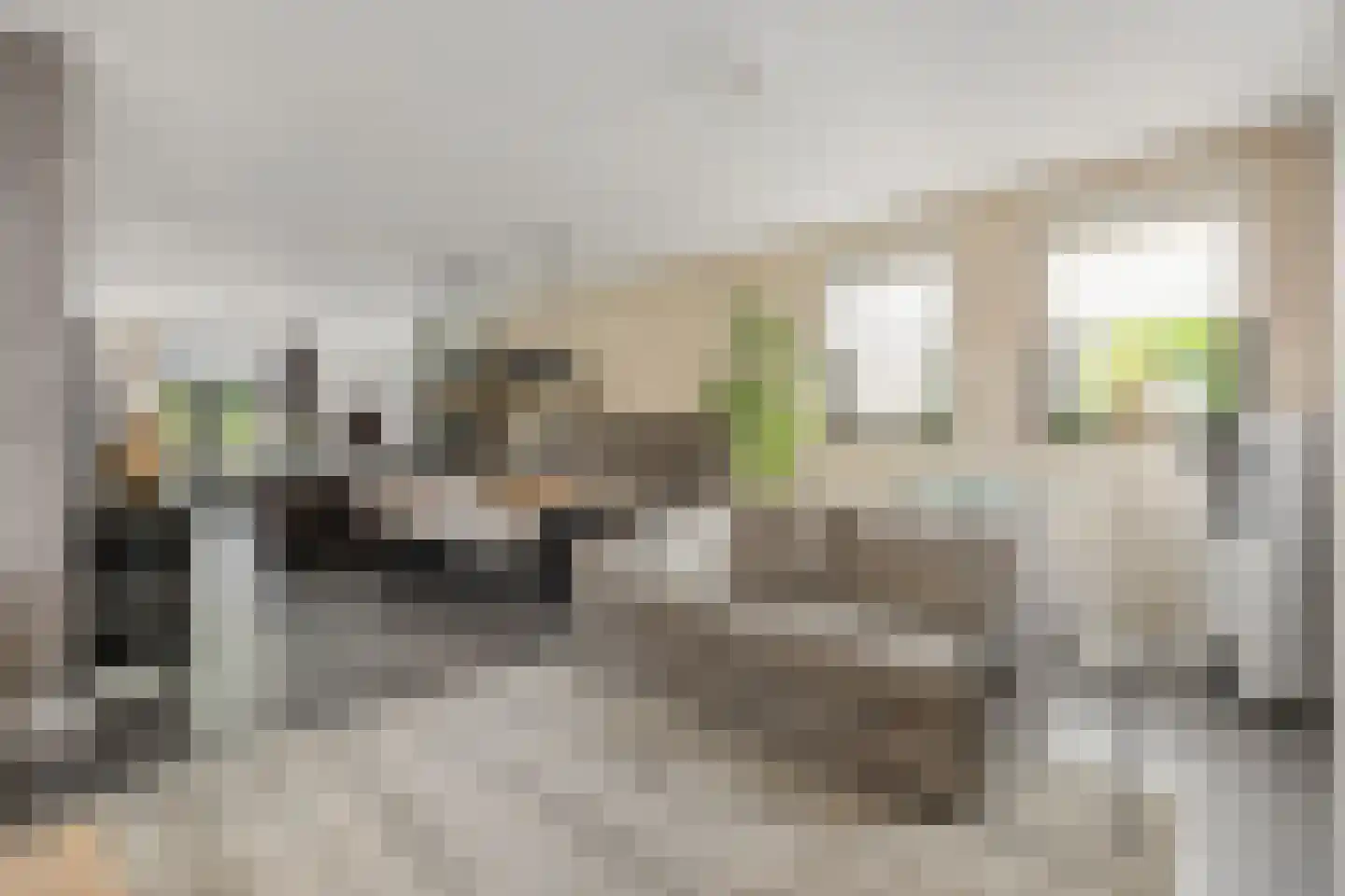 Charles Petitweg 13 Breda thumbnail 37