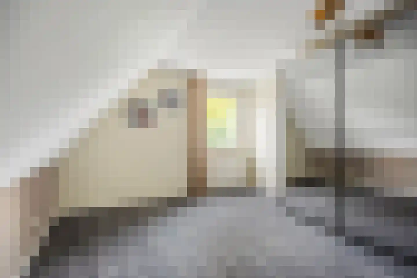 Charles Petitweg 13 Breda thumbnail 73