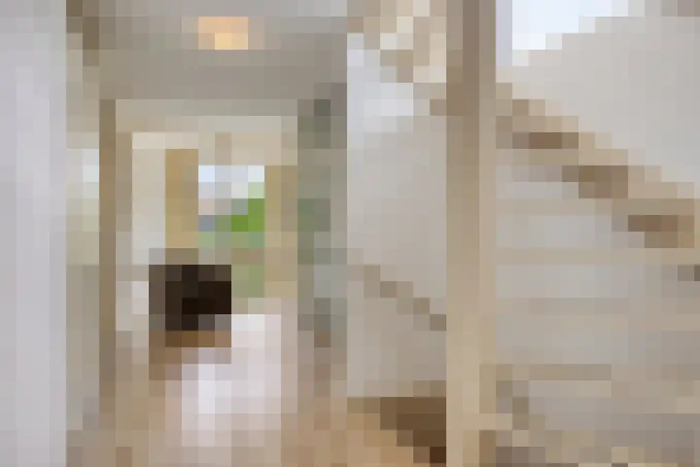 Charles Rochussenstraat 26 Deventer thumbnail 10