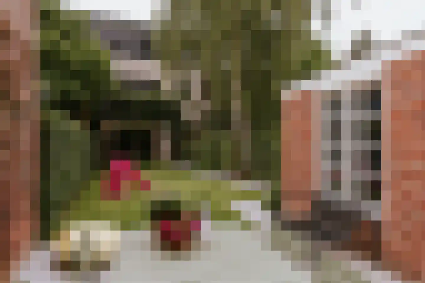 Charles Ruysstraat 24 Roermond thumbnail 25
