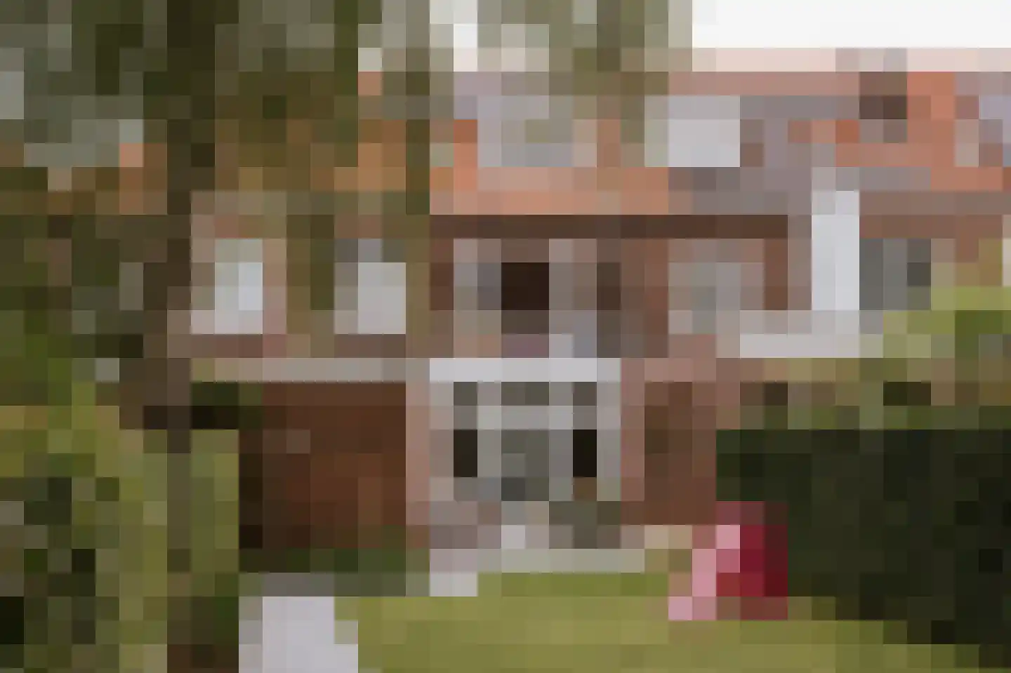 Charles Ruysstraat 24 Roermond thumbnail 28