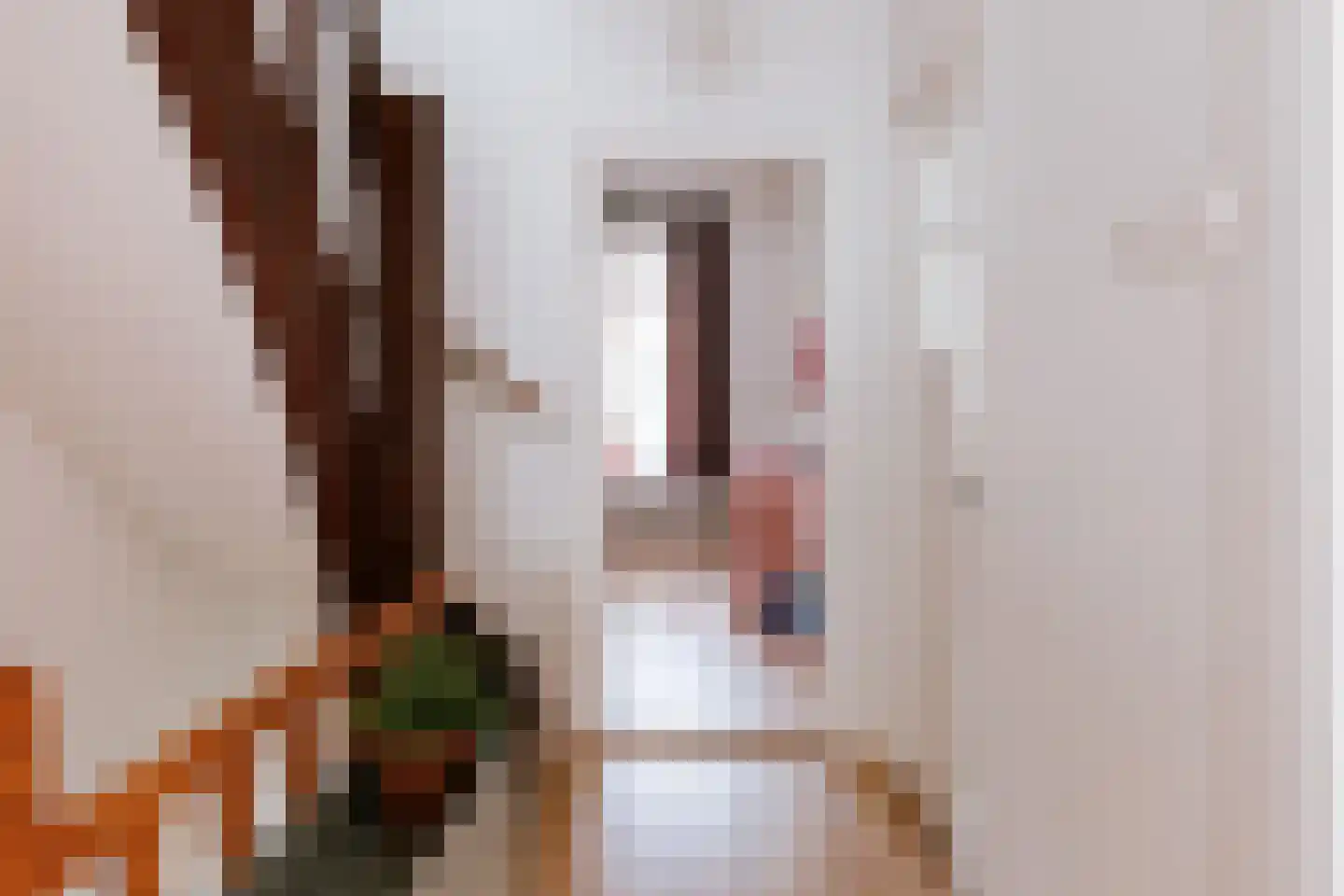 Charles Ruysstraat 24 Roermond thumbnail 34