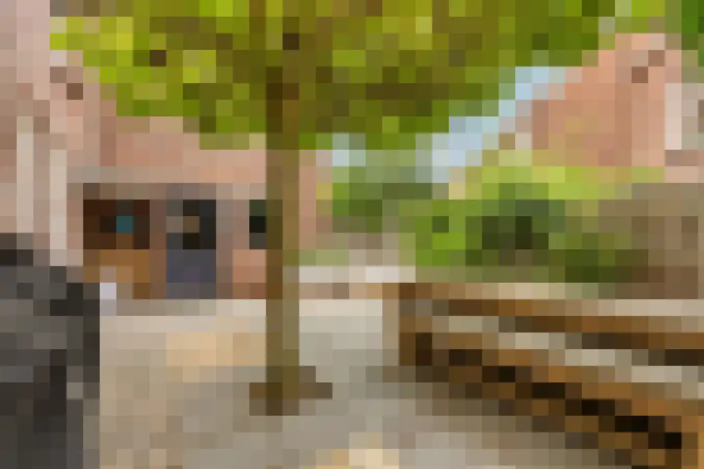 Charles Ruysstraat 41 Roermond thumbnail 35