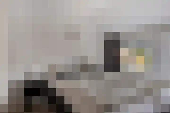 Charles Ruysstraat 69 Roermond thumbnail 14