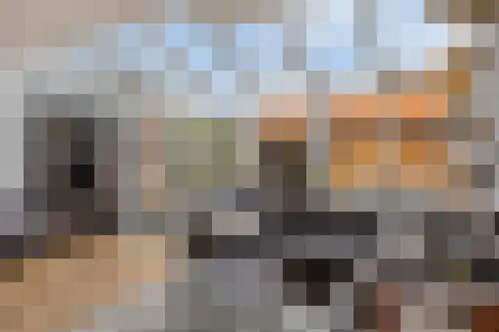 Charles Ruysstraat 69 Roermond thumbnail 8
