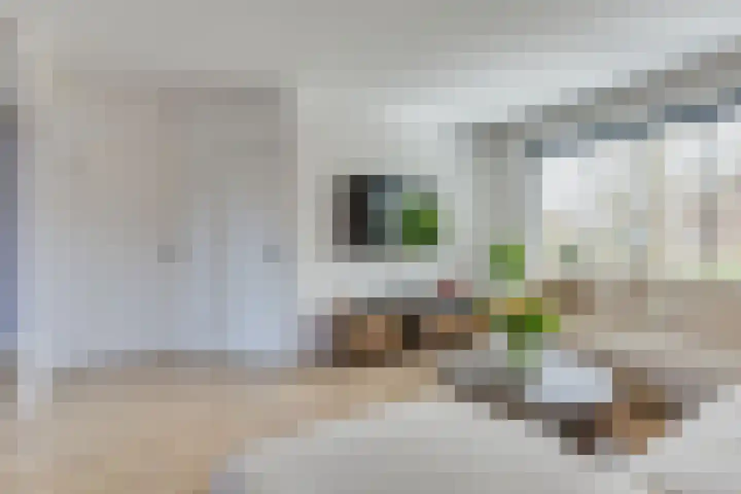 Charles van der Nootstraat 17 Hoogwoud thumbnail 8