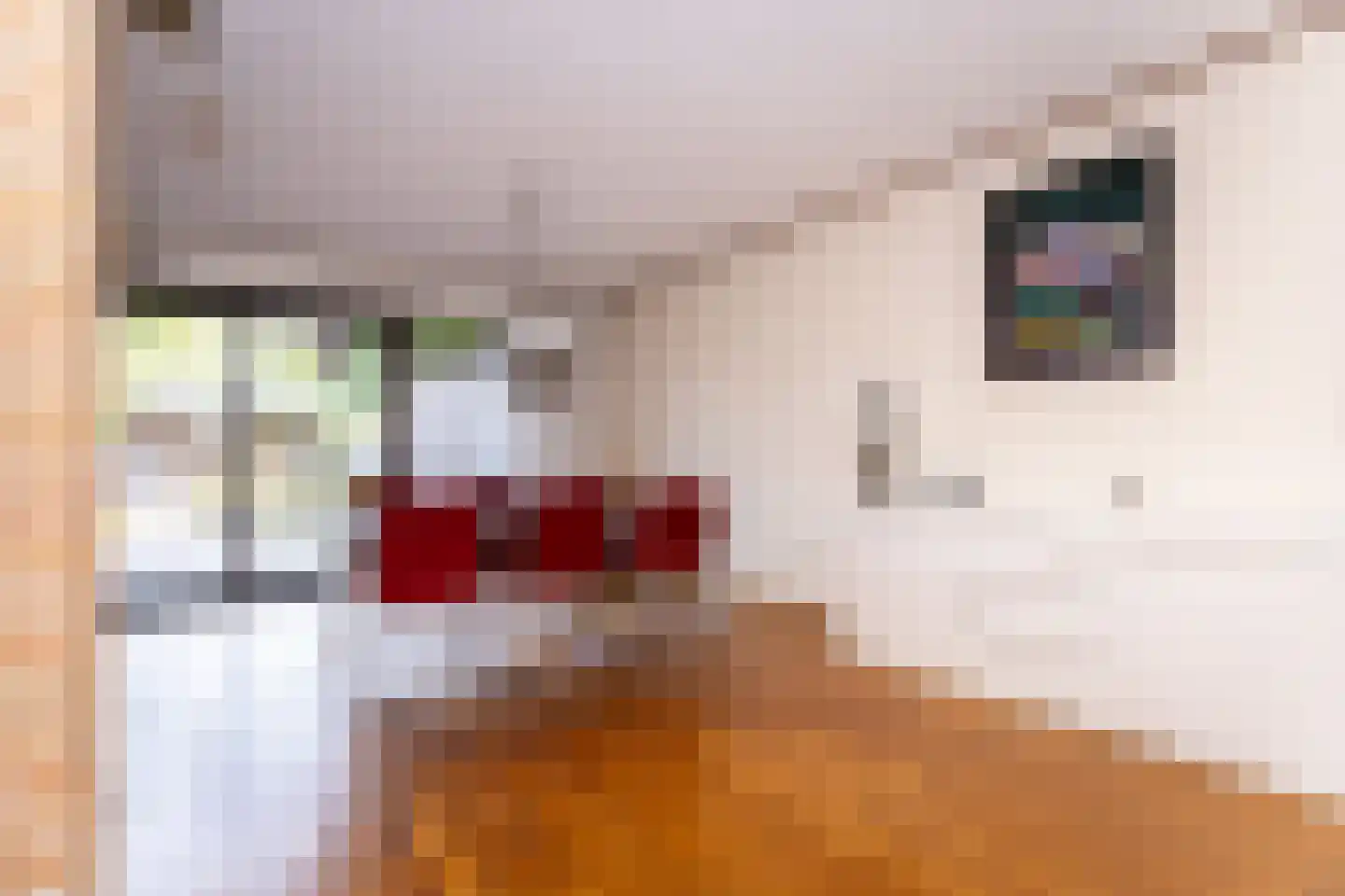 Charles van der Nootstraat 35 Hoogwoud thumbnail 13