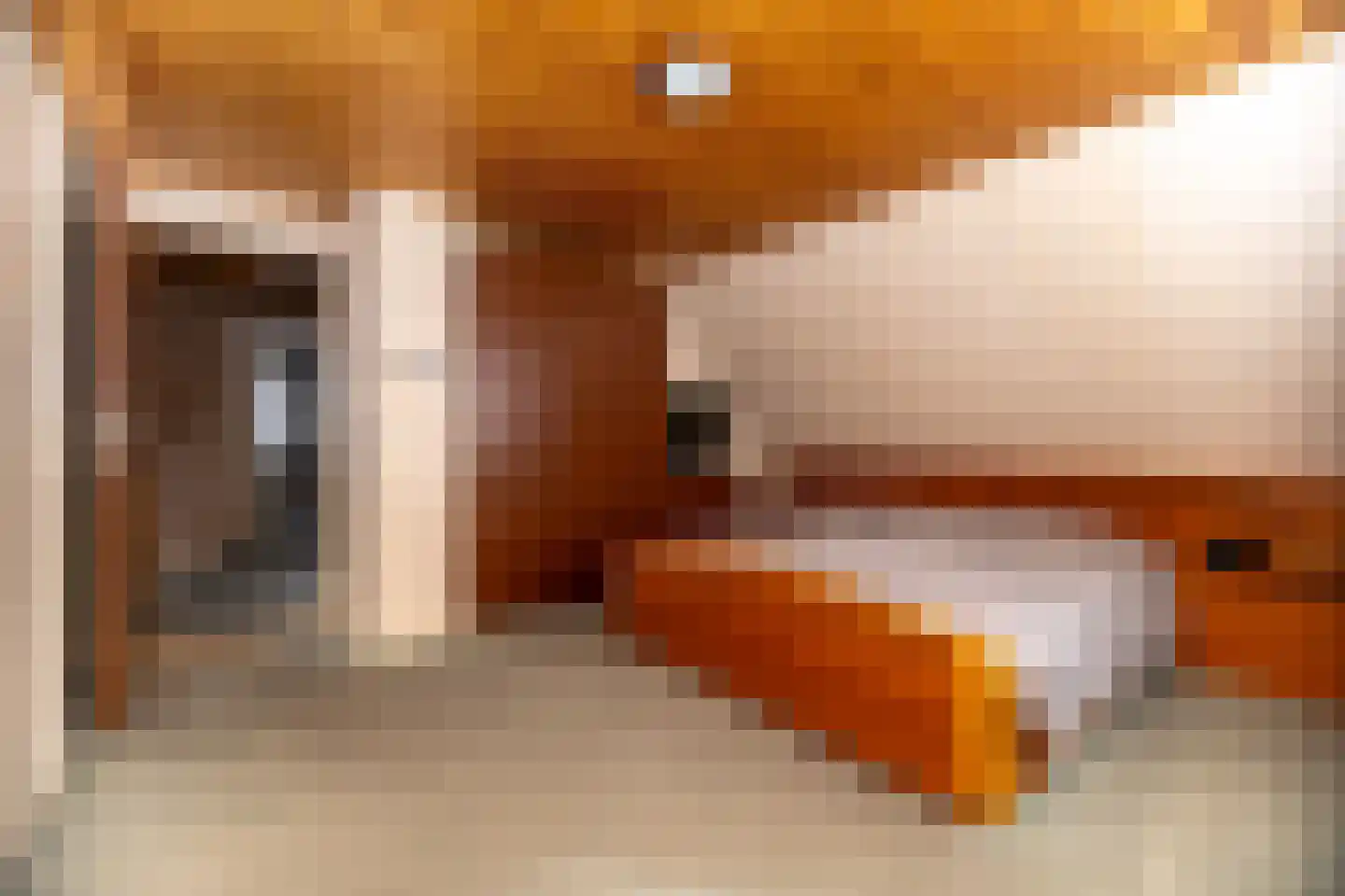 Charles van der Nootstraat 35 Hoogwoud thumbnail 27