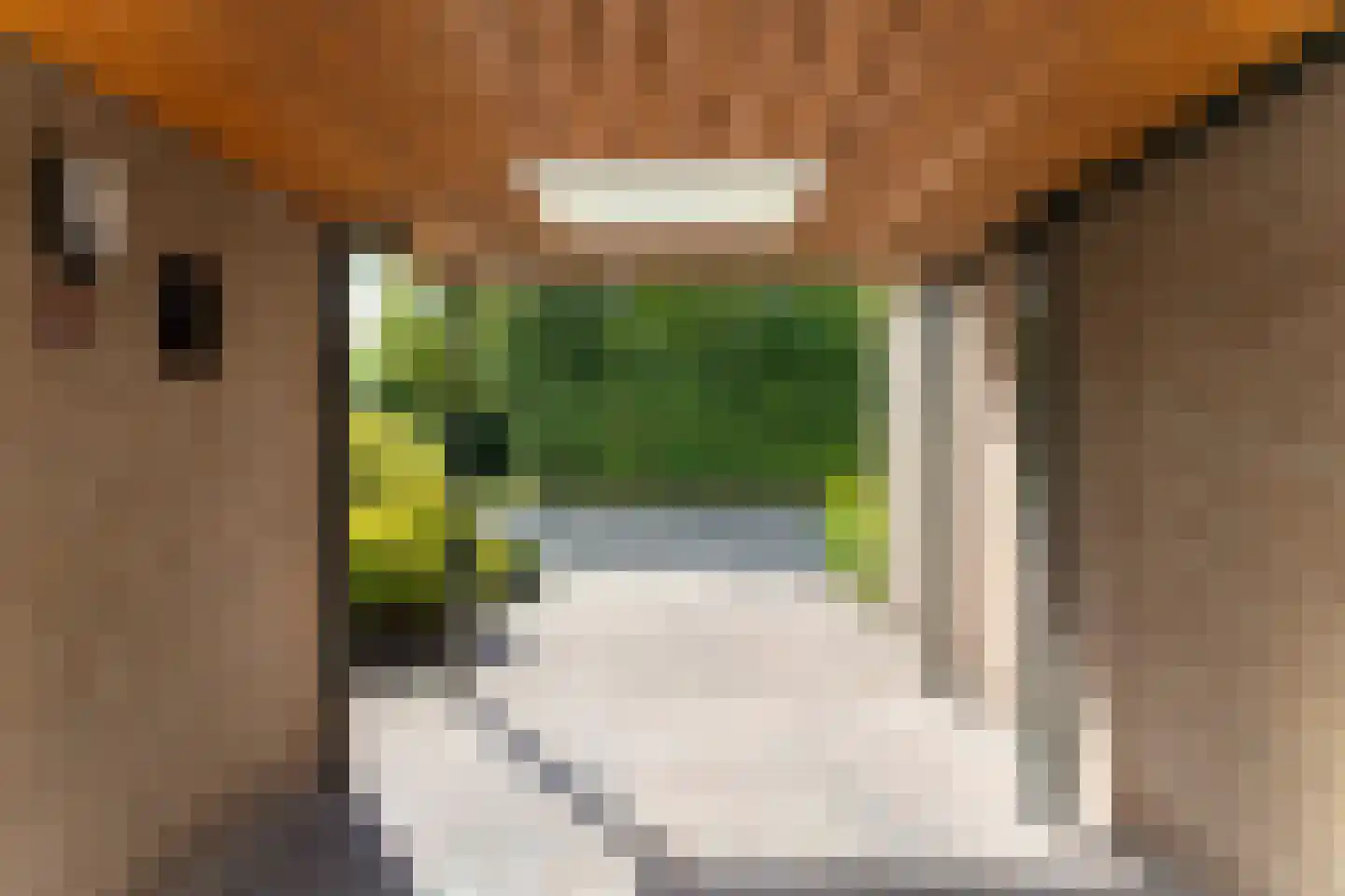 Charles van der Nootstraat 35 Hoogwoud thumbnail 43