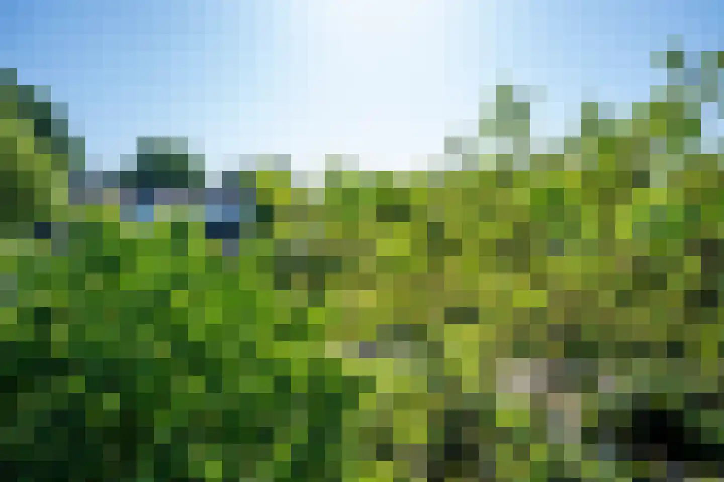 Charles Vos-cour 23 Maastricht thumbnail 35
