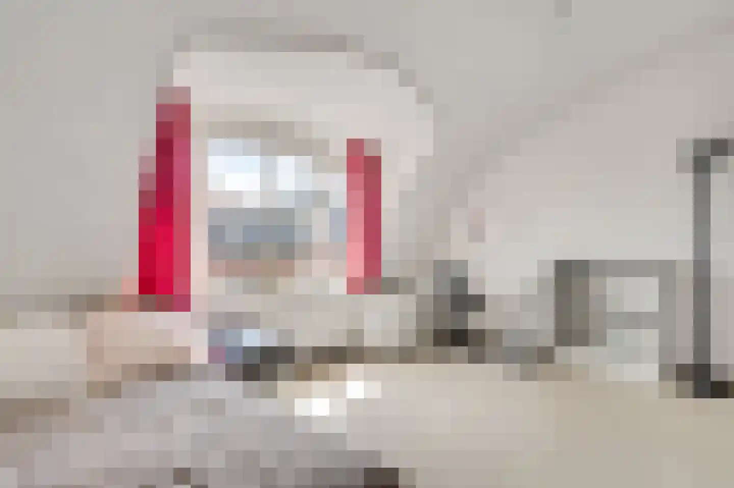 Charles Vos-cour 4 Maastricht thumbnail 15