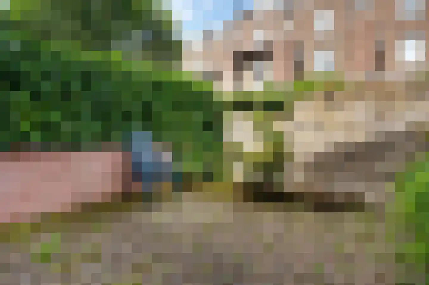 Charles Vos-cour 4 Maastricht thumbnail 4