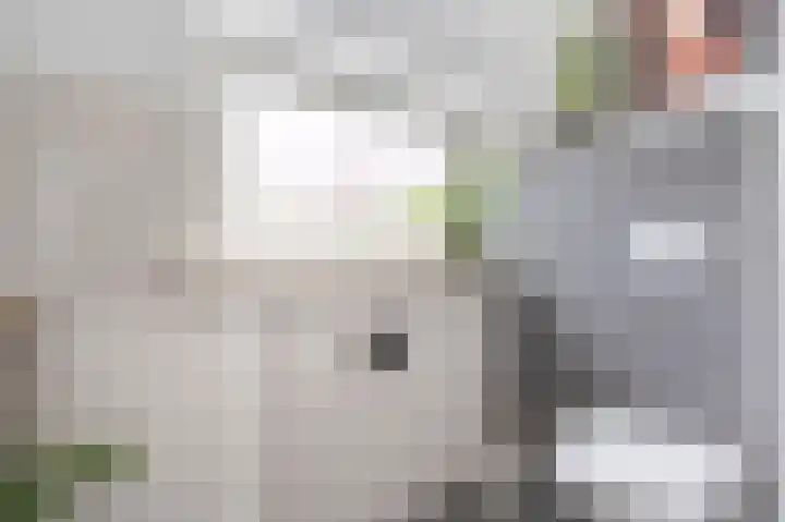Charles Vosstraat 18 Sittard thumbnail 9