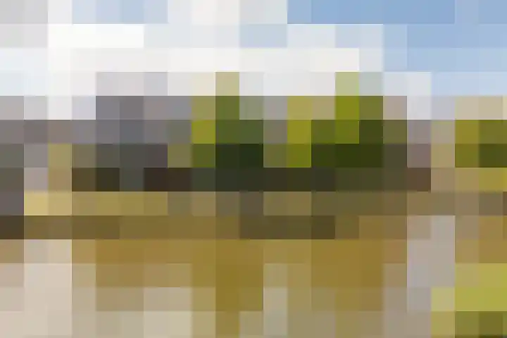 Charles Wilsonstraat 11 Almere thumbnail 56