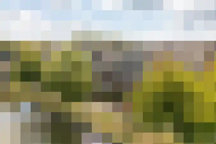 Charles Wilsonstraat 11 Almere thumbnail 7