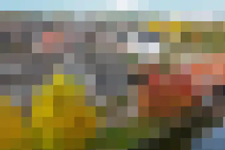 Charles Wilsonstraat 15 Almere thumbnail 5