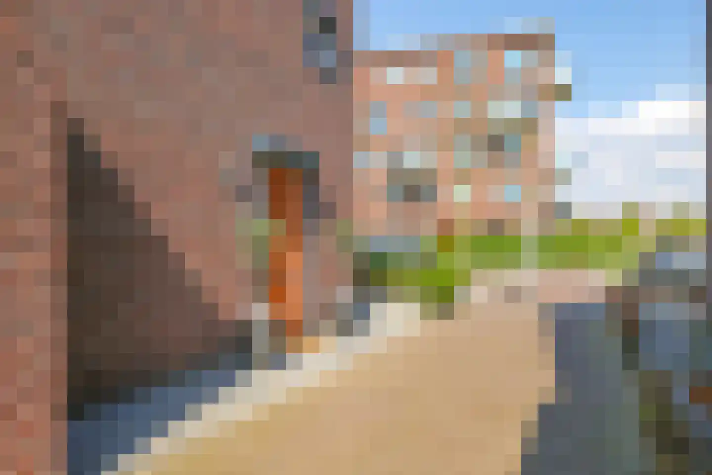 Charley Bosveldhof 10 Arnhem thumbnail 72