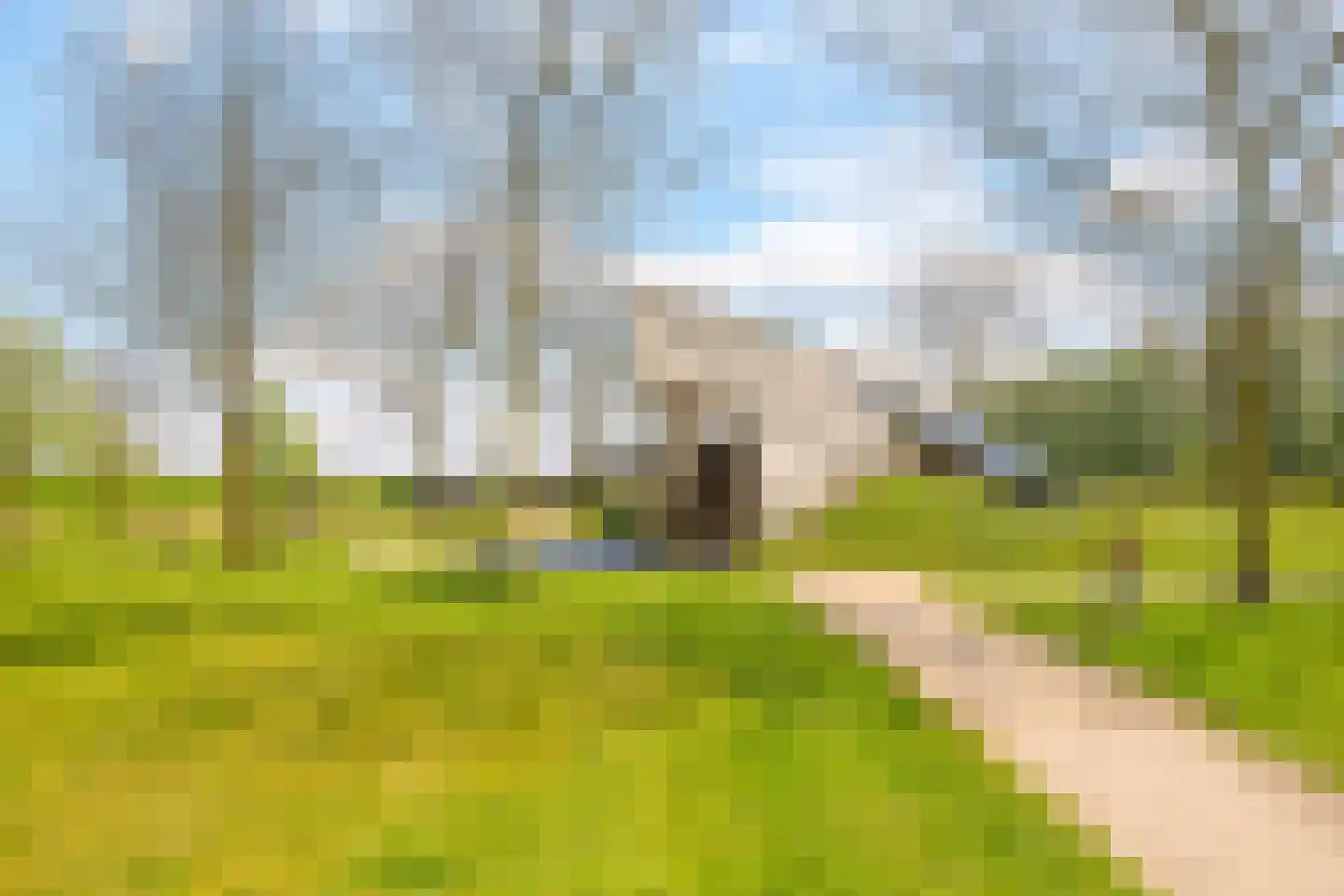 Charley Bosveldhof 10 Arnhem thumbnail 81