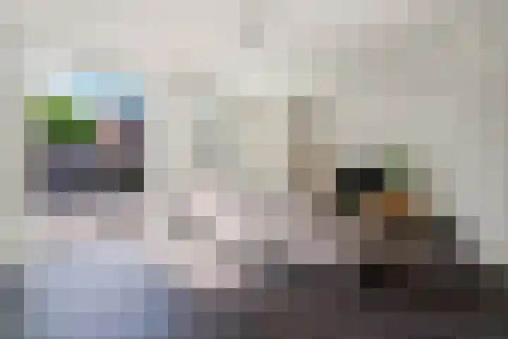 Charley Bosveldhof 12 Arnhem thumbnail 4